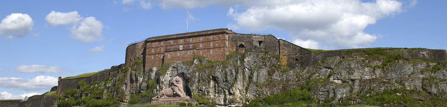 bandeau Le Lion et la citadelle